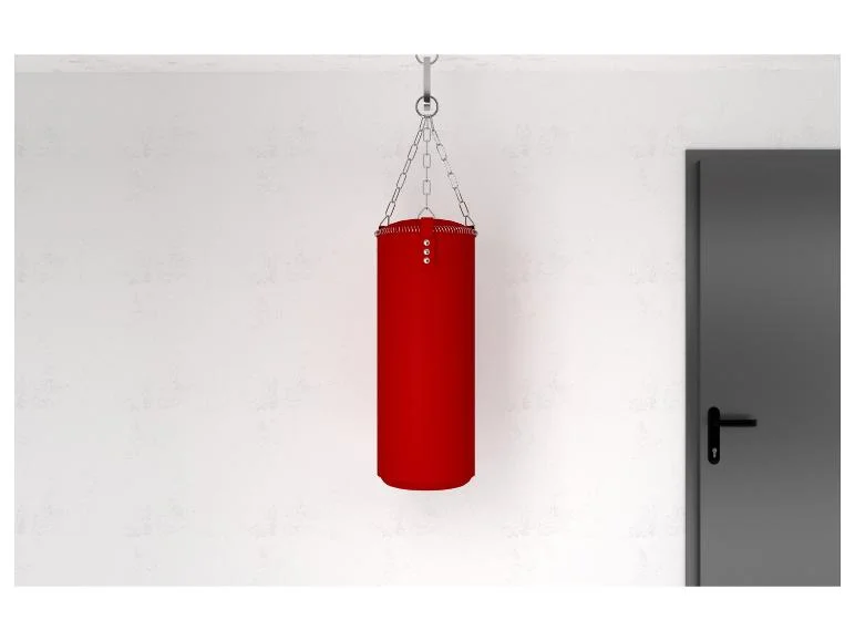 Kit vis et crochets SX Plus