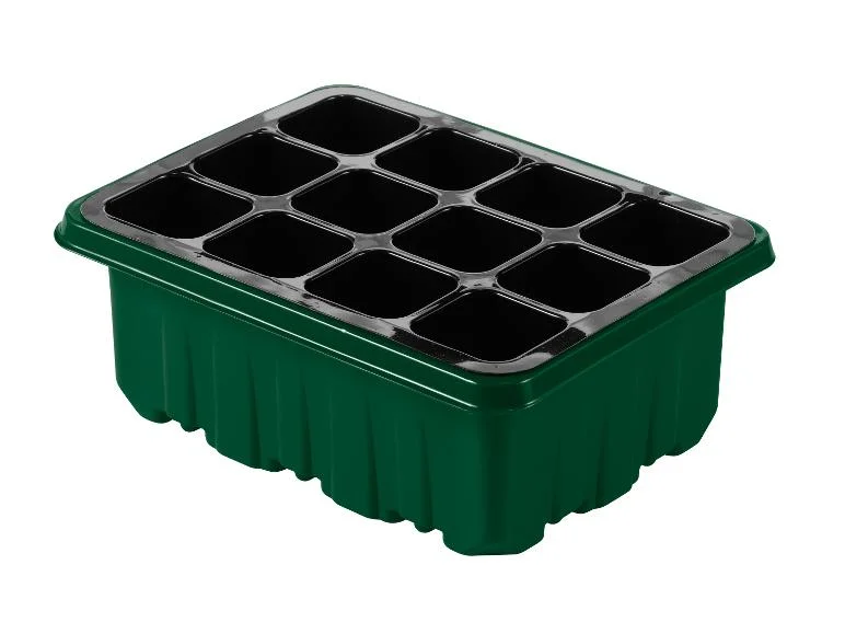 Mini-serres ou mini-serres à LED