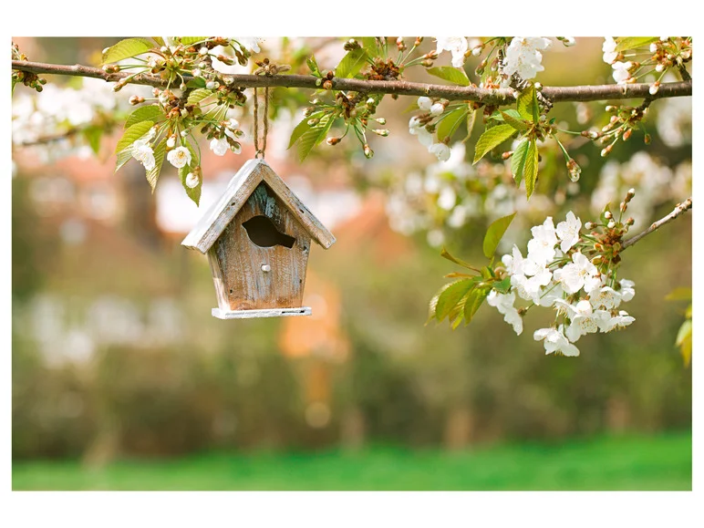 PARKSIDE® Agrafeuse-cloueuse électrique PHET 15 C2, 70 W