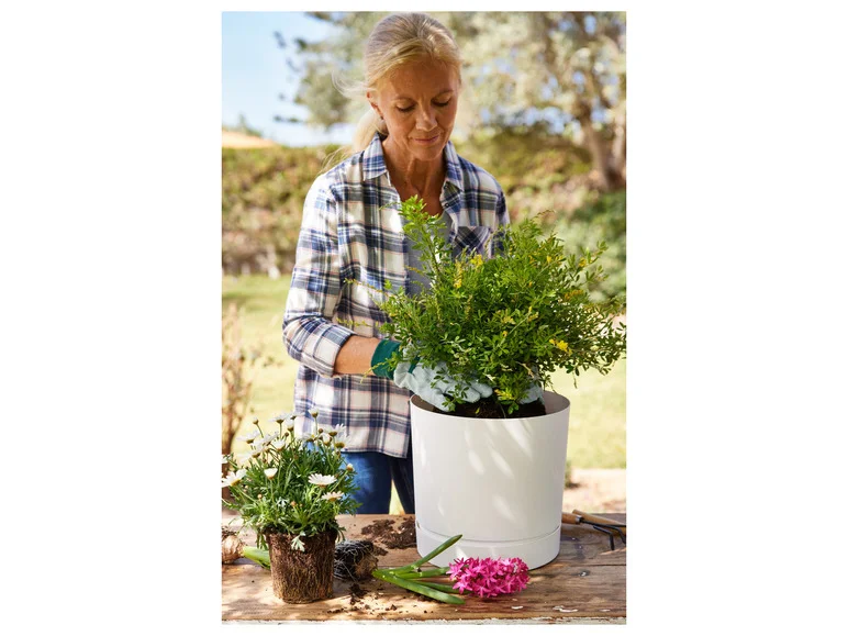 PARKSIDE® Pot pour plante Bristol, 29 cm