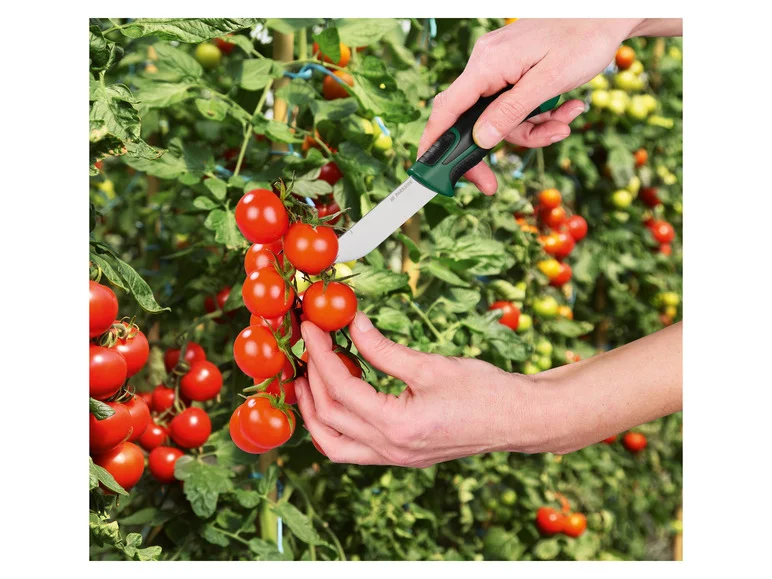 PARKSIDE® Aiguiseurs de haches et de couteaux ou Couteaux d'artisans