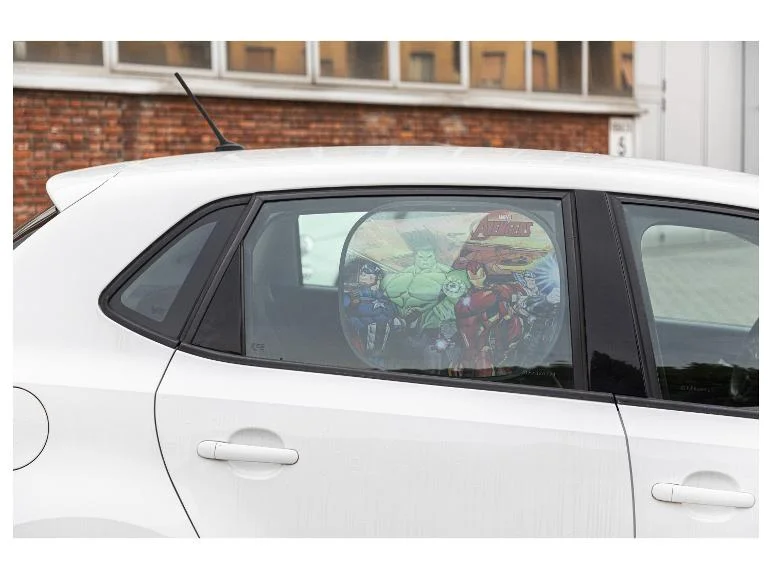 Lot de 2 pare-soleils pour voiture