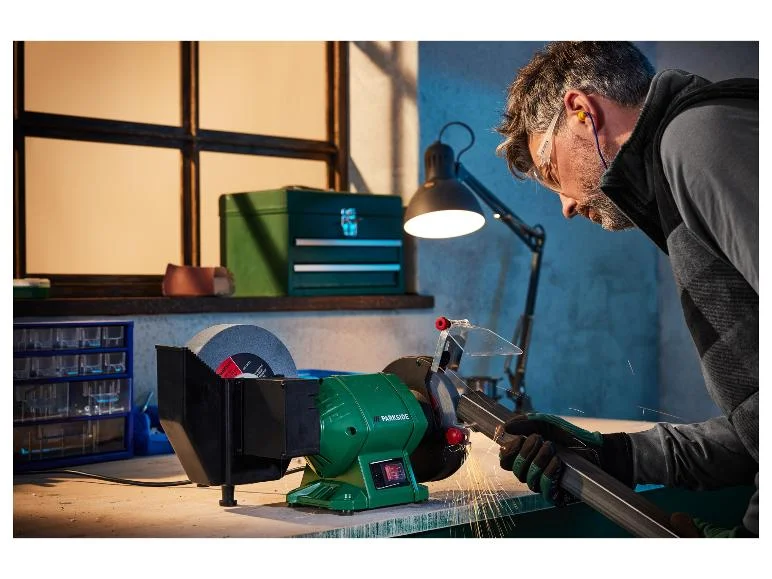 Meuleuse à sec et à eau PNTS 250 C2