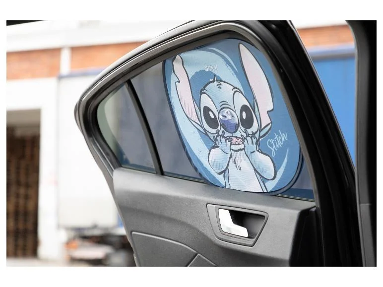 Lot de 2 pare-soleils pour voiture