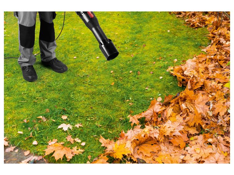 Souffleur axial électrique PPELB 1650 A1, 1650 W