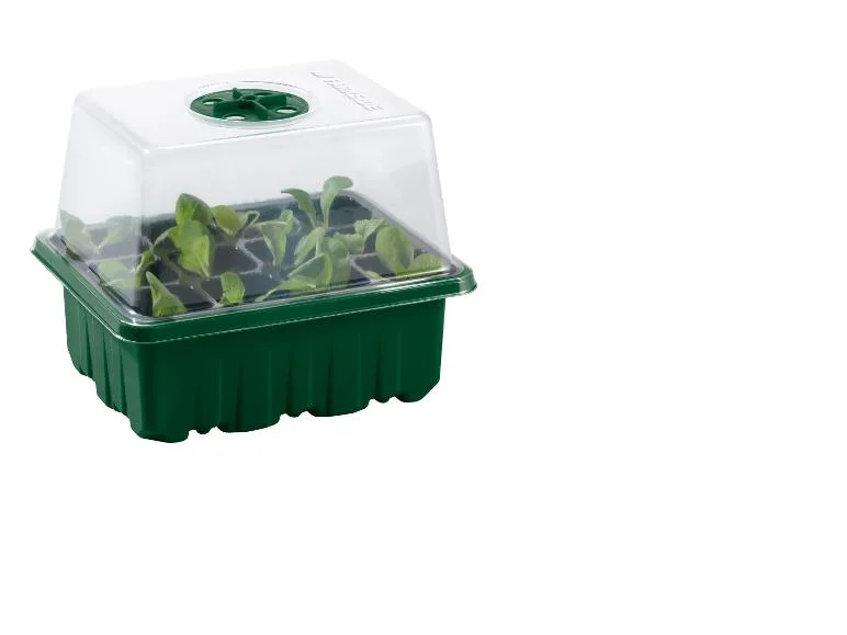 Mini-serres ou mini-serres à LED