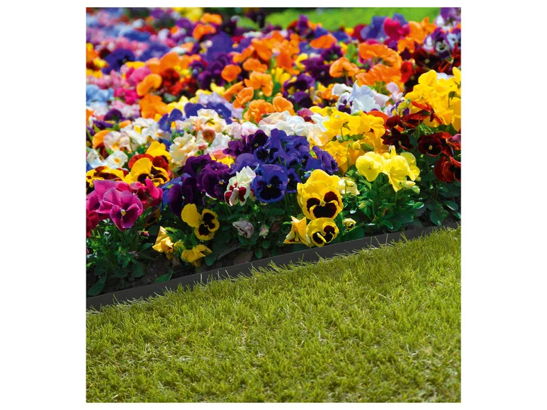 PARKSIDE® Bordure à gazon