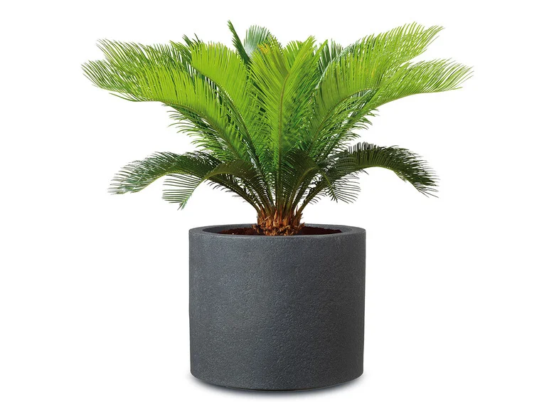 Pot à plantes « Riva », plastique, rond