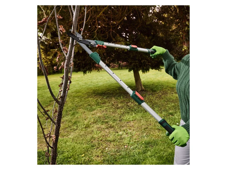 PARKSIDE® Coupe-branches télescopique à enclume, 40 mm