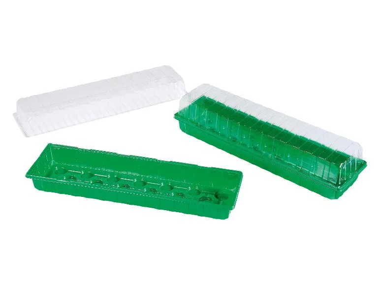 Lot de 2 mini serres