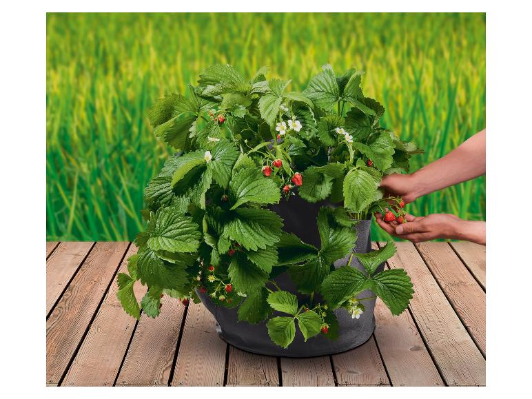 Lot de 2 sacs de plantation