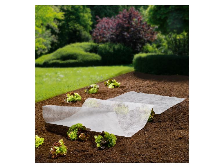 Set de toiles en non-tissé