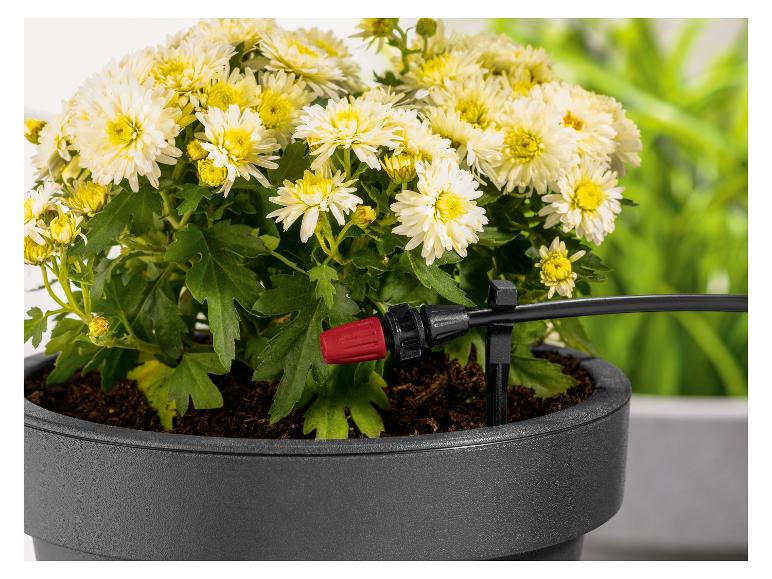 Set d'arrosage goutte-à-goutte