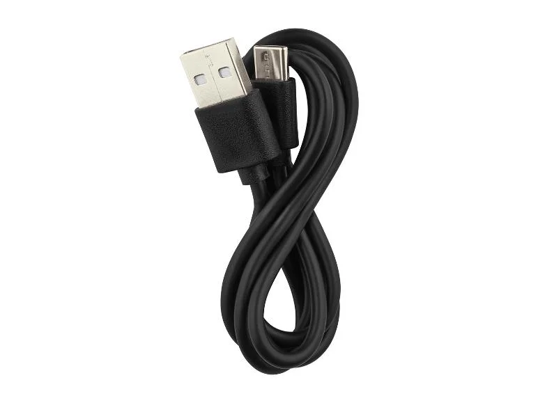 Baladeuse rechargeable PAS 4000 A1