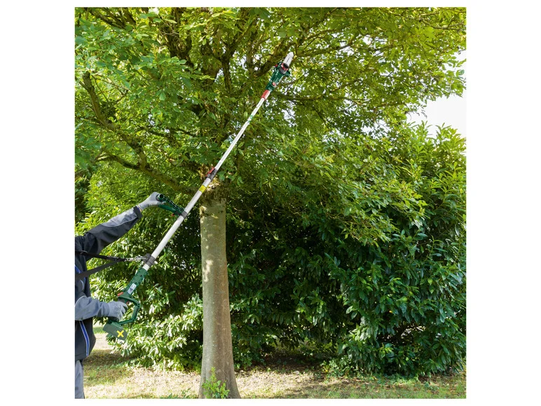 PARKSIDE® Élagueuse sur perche sans fil PAHE 20-Li D4, 20 V