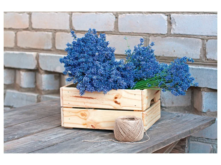 PARKSIDE® Agrafeuse-cloueuse électrique PHET 15 C2, 70 W