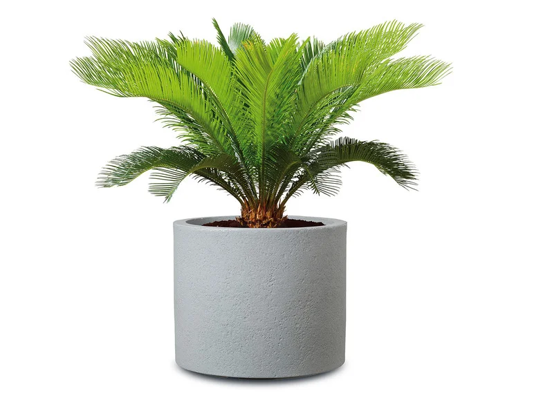 Pot à plantes « Riva », plastique, rond