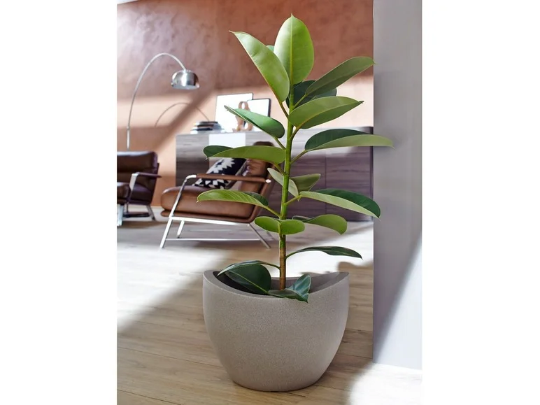 Scheurich Pot à plantation Wave Globe