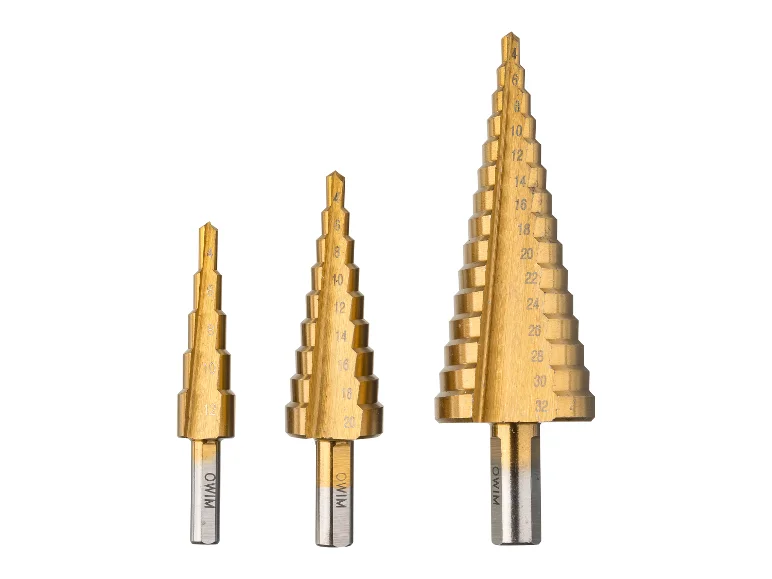 Fraises ou Forets PSB 3