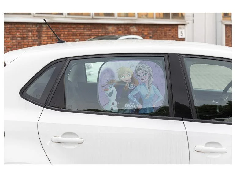 Lot de 2 pare-soleils pour voiture