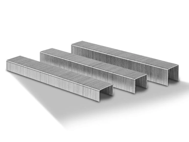 Set d'agrafes ou de clous