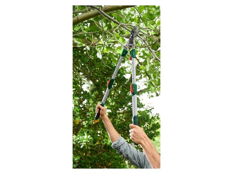 Coupe-branches télescopique