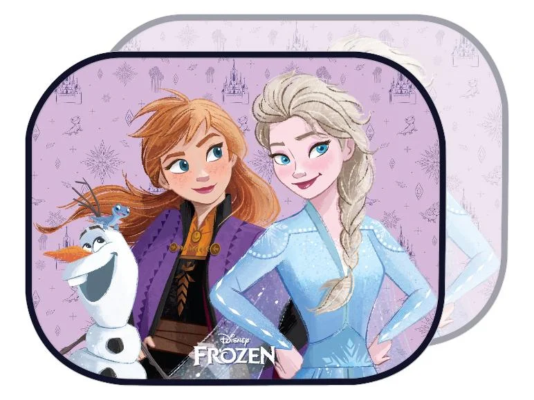 Lot de 2 pare-soleils pour voiture