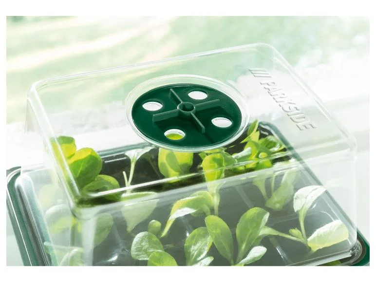 Mini-serres ou mini-serres à LED