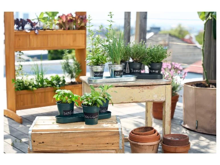 Lot de 3 pots pour herbes aromatiques