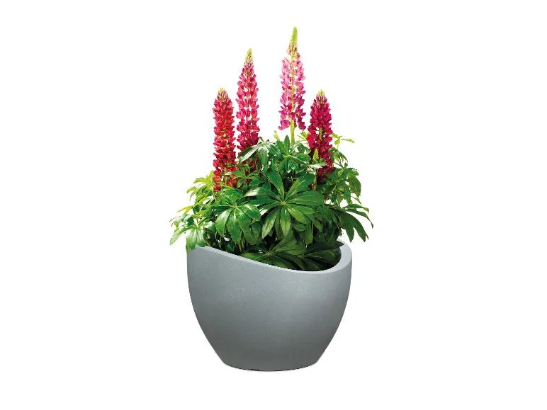 Scheurich Pot à plantation Wave Globe