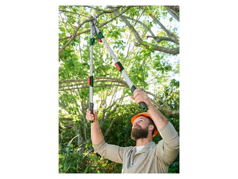 Coupe-branches télescopique