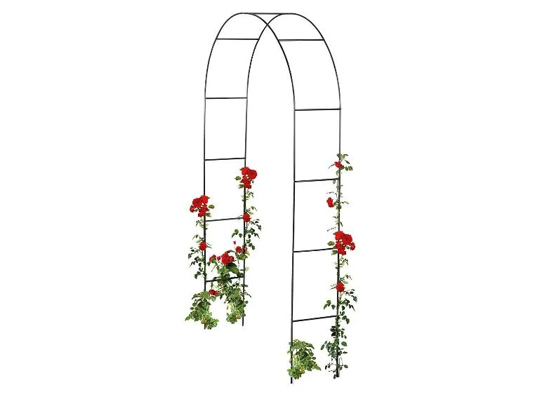 Arche pour rosiers ou Tuteur colonne