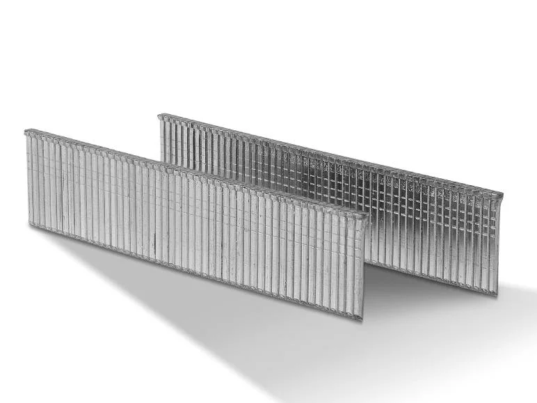 Set d'agrafes ou de clous