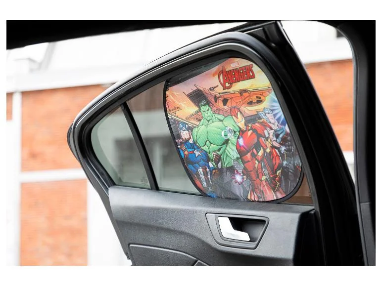 Lot de 2 pare-soleils pour voiture