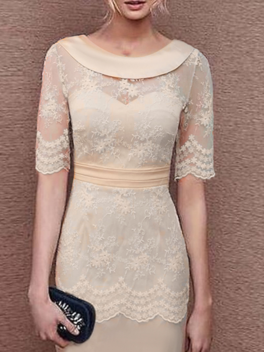 Elegant Lace Plain Regular Fit Dress