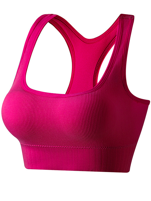 Casual Crew Neck Plain Sports Bra