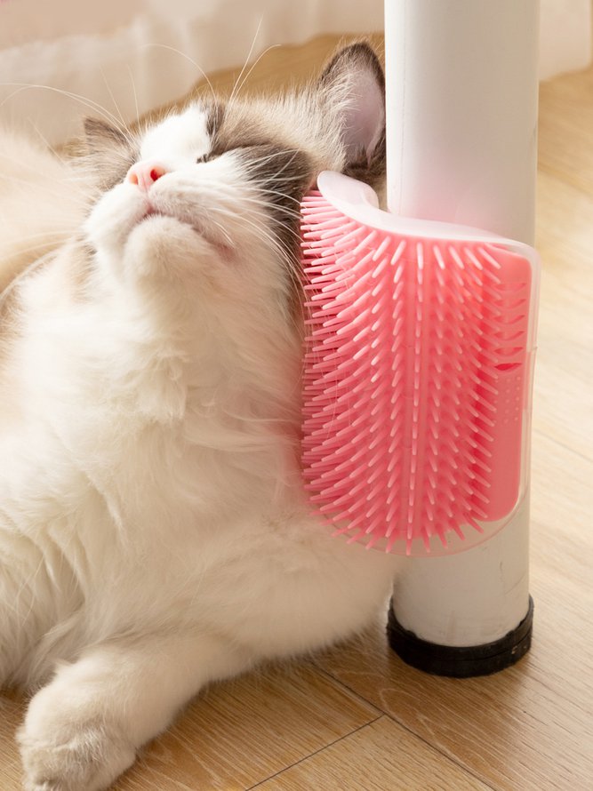 Home & Garden & Decorations