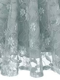 V Neck Lace Elegant Dress