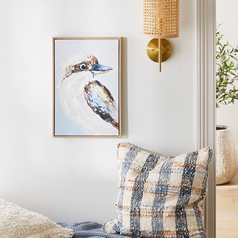 Aves Kookaburra Posing Canvas