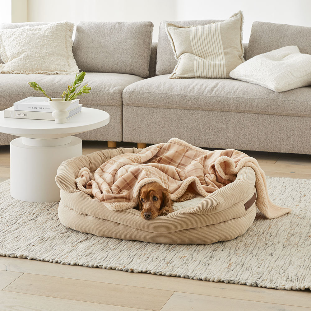 Maisy Biscuit & Spice Check Pet Blanket