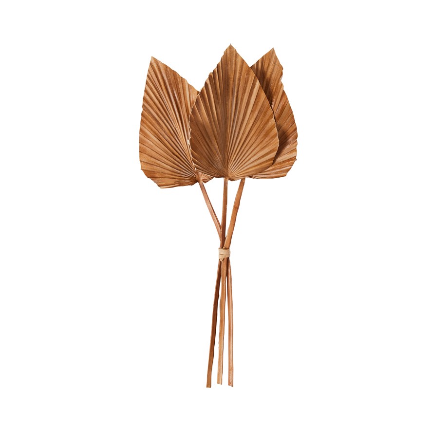 Winter Brown Fan Bunch Stem