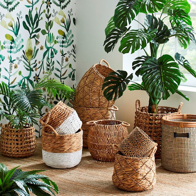 Monstera Potted Plant 120cm