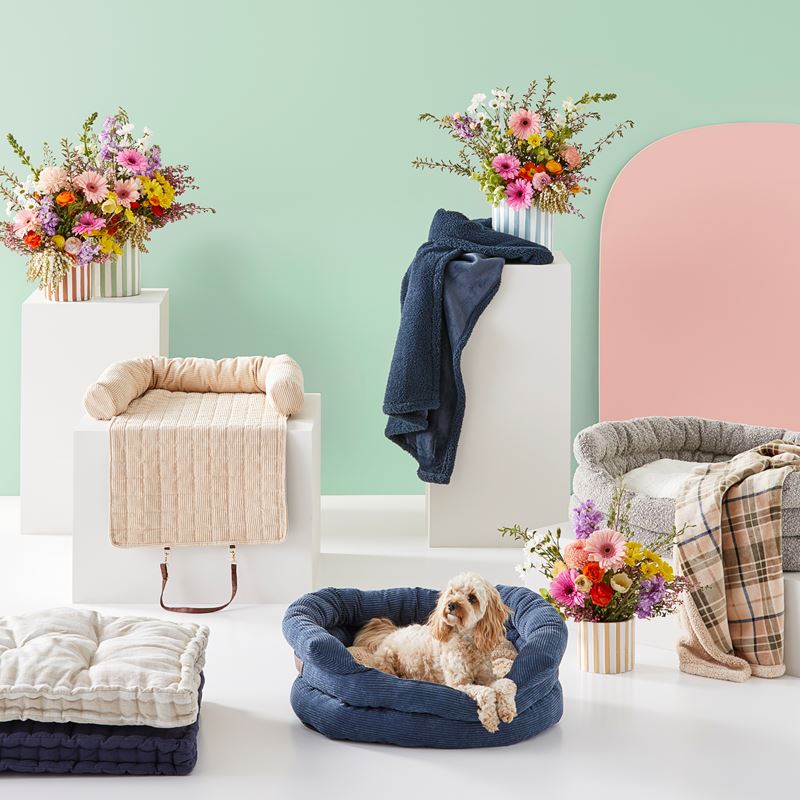 Maisy Biscuit Corduroy Fold-Out Pet Bed