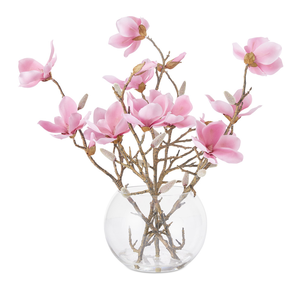 Pink Magnolia In Vase