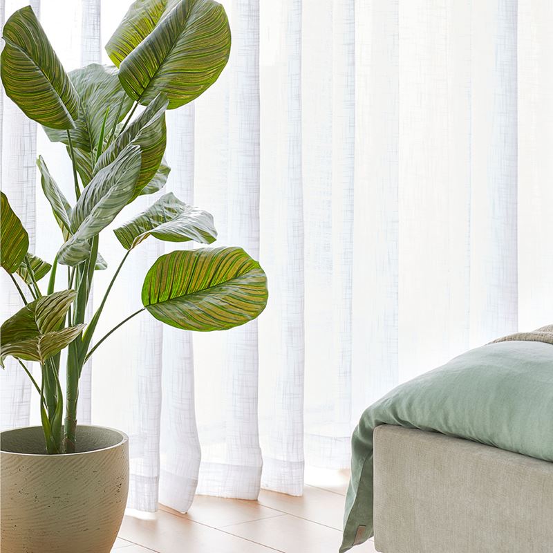 Calathea Potted Plant 120cm