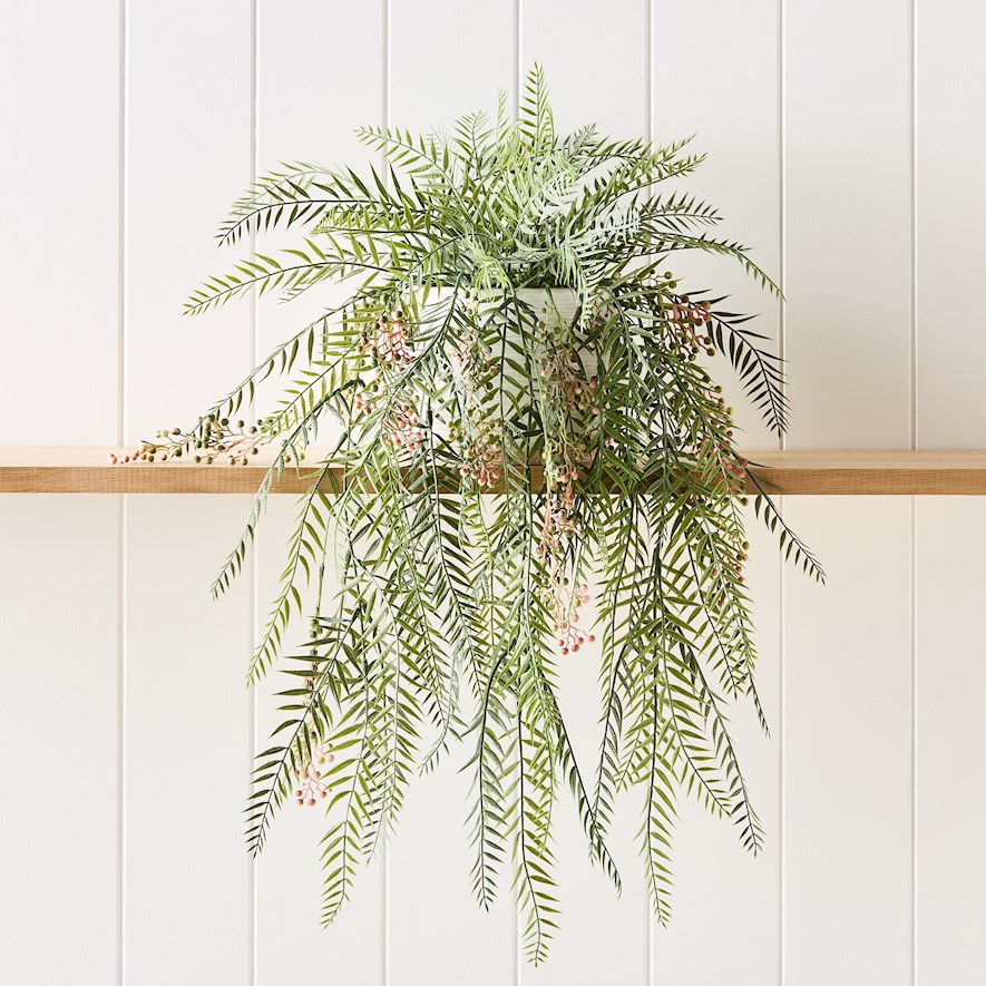 Pepper Silver Green Hanging Fern