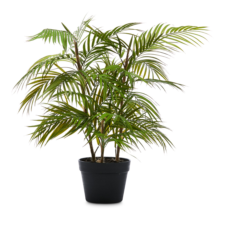 Potted Fern 72cm