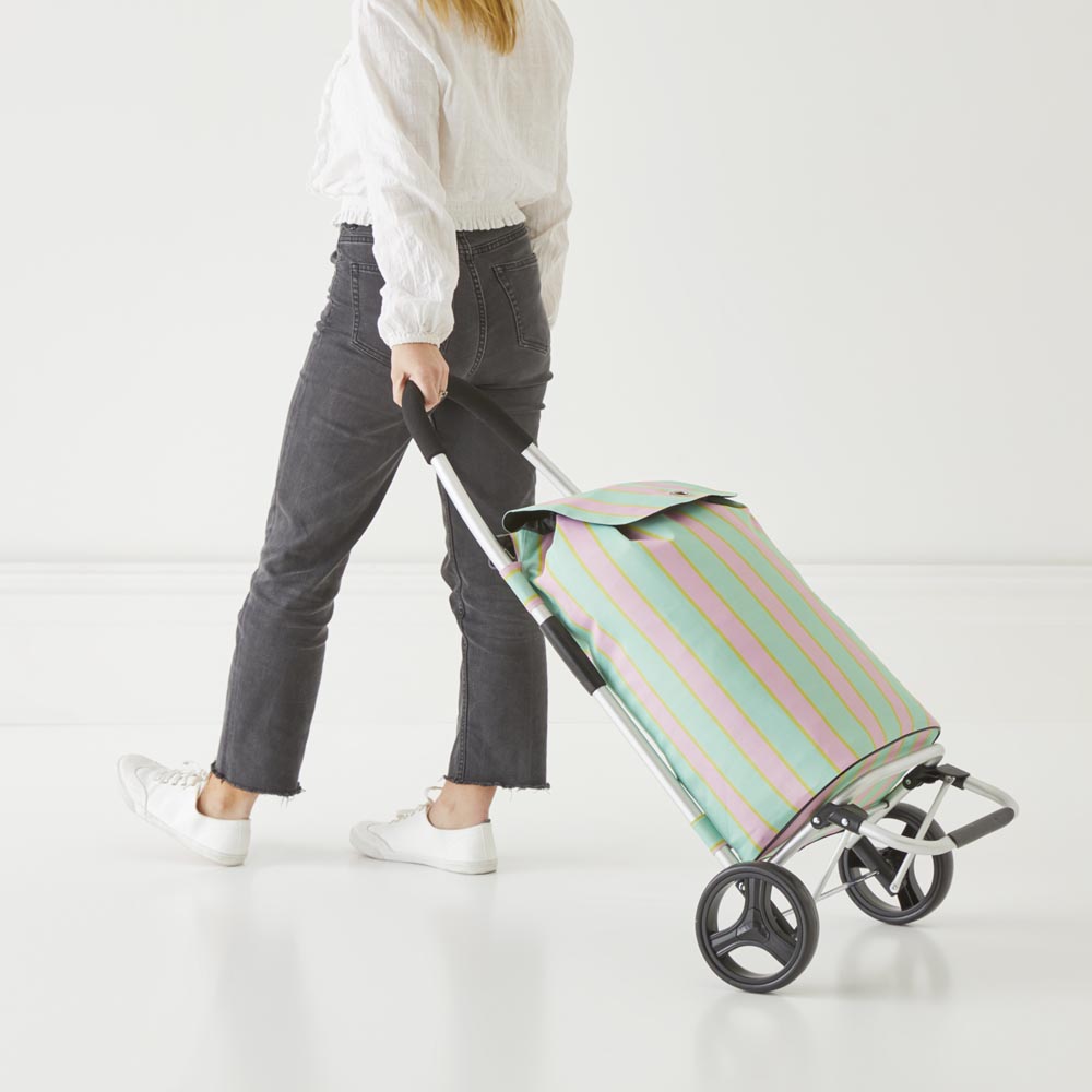 Summer Stripe Shopping Trolley