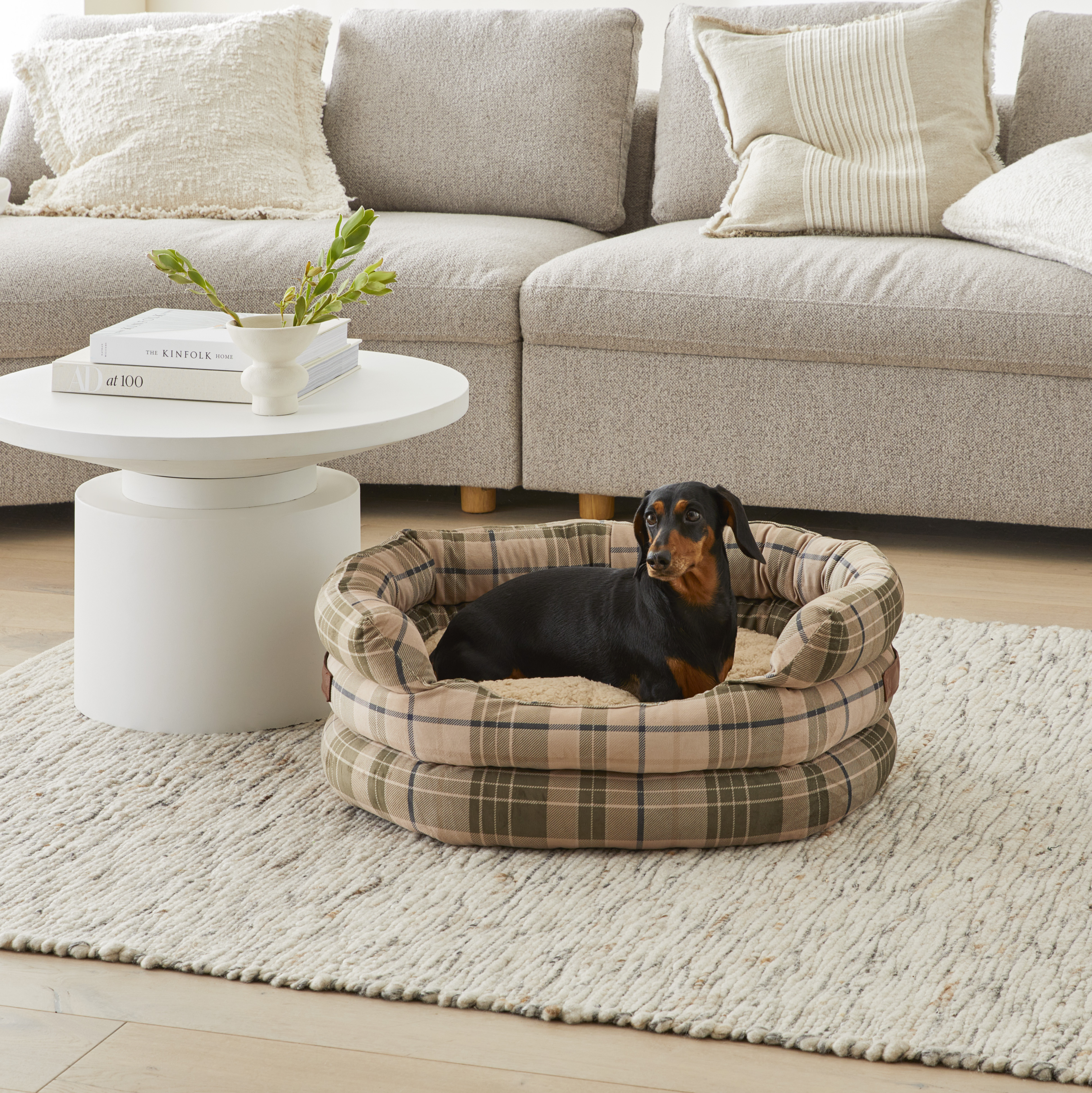 Ziggy Biscuit & Forest Corduroy Pet Bed