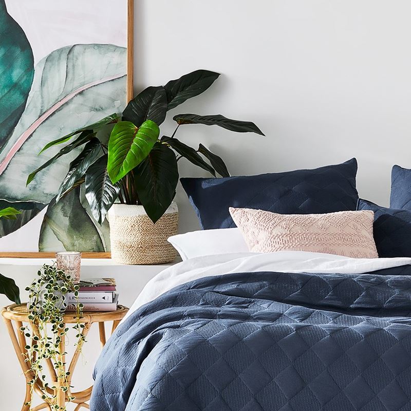 Red Philodendron Potted Plant 60cm